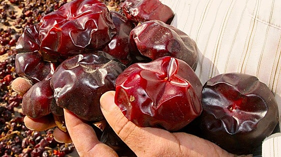 Ñora, la bola mágica nacida en Murcia