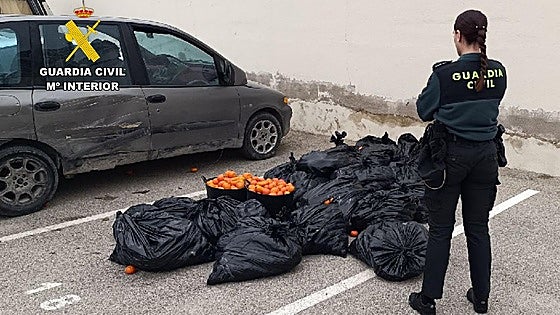 Dos detenidos por robar más de 500 kilos de fruta en una finca de Campos del Río