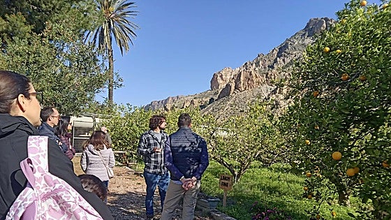 Arranca la Fiesta del Azahar del Valle de Ricote con rutas y experiencias sensoriales con el limón