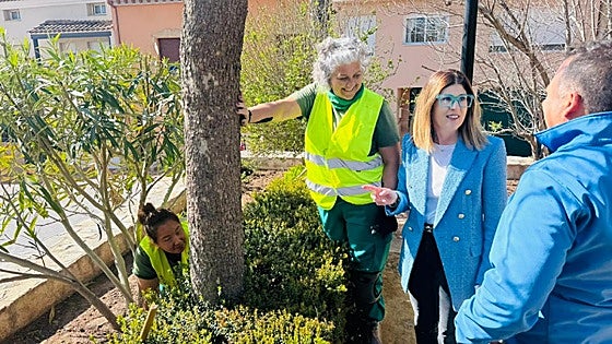 Medio millar de árboles y plantas para el monte Calvario de Lorca