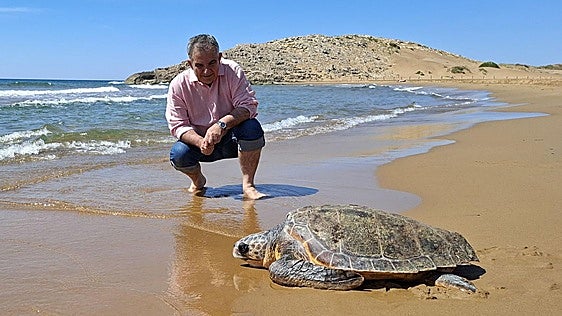La primera tortuga boba atendida este año en el Centro de Recuperación regresa al mar en Calblanque