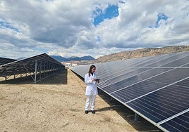 ElPozo Alimentación cuenta con la mayor planta solar fotovoltaica para autoconsumo de España.