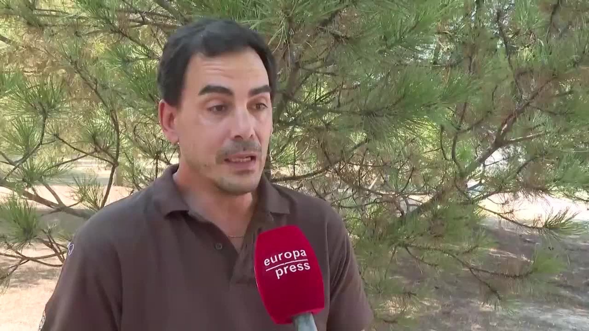 Ingeniero forestal alerta del riesgo extremo de incendios durante el eclipse