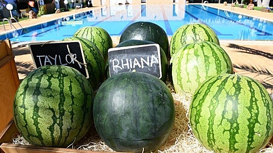 El Water&Melon Show reúne la gama varietal y novedades de Semillas Fitó