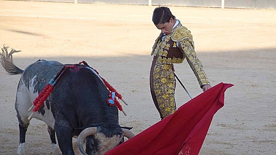 El Mene, ganador de la Espiga de Oro en Calasparra
