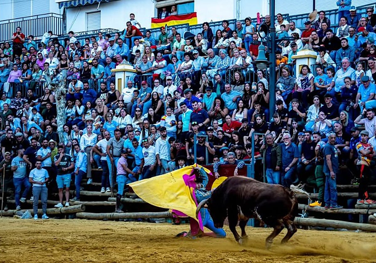 Actuación del pasado lunes de Angelín en La Peza, dando una larga cambiada de rodillas a uno de sus novillos.