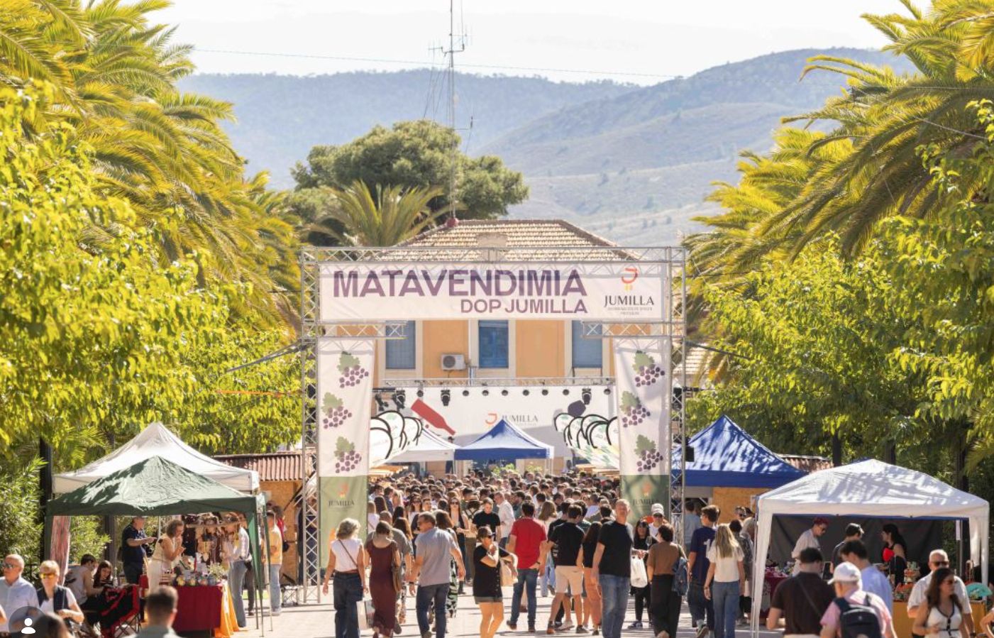 La quinta edición de Matavendimia, la Gran Feria del Vino y del Enoturismo DOP Jumilla, se presenta en Murcia