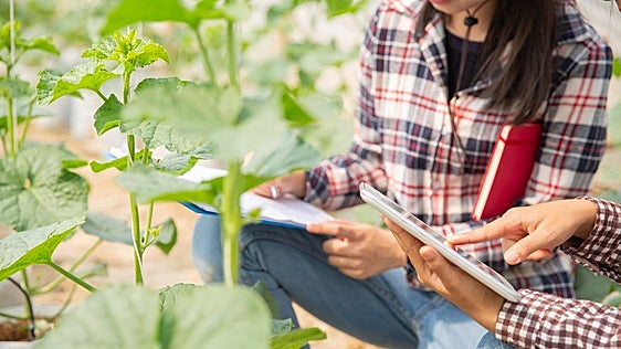 Next Spain vuelve a Murcia con un foro sobre agrotecnología