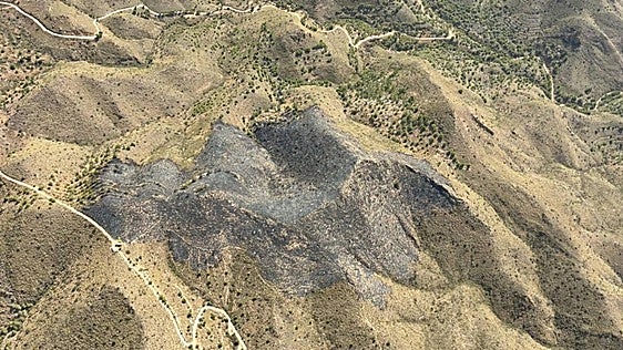 Extinguen el incendio forestal de Mazarrón con 7 hectáreas de terreno afectadas por el fuego