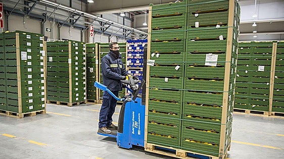 La exportación de frutas y hortalizas aguanta, pero «preocupa» la escalada de terceros países