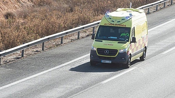 Muere un hombre y otro resulta herido en una reyerta con arma de fuego en Alhama