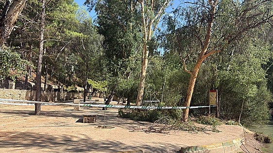 Fallece un hombre al caerle encima un árbol en Calasparra