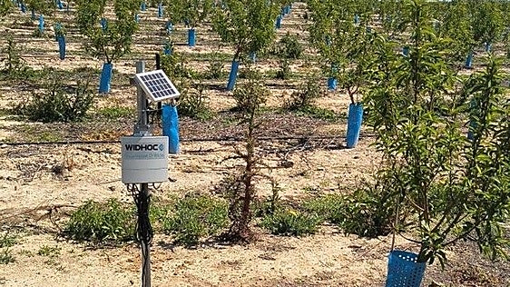 Digitalizan el control de regadíos de la comunidad de Abanilla