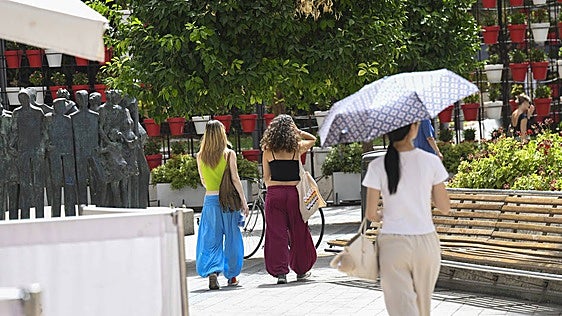 El verano deja en la Región de Murcia un 160% más de muertes relacionadas con el calor que el año pasado