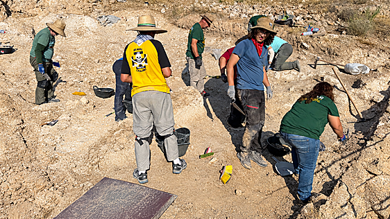 La nueva campaña de excavación en Siyâsa descubre dos escaleras de caracol y fragmentos de arcos y cerámicas