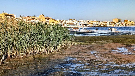 El TSJ confirma la sanción a una empresa agrícola de Torre Pacheco por verter el equivalente a más de 63 piscinas olímpicas de salmuera al Mar Menor