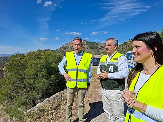 Medio Ambiente interviene en 9.100 hectáreas y completa el 80 por ciento de las actuaciones previstas para frenar el decaimiento forestal