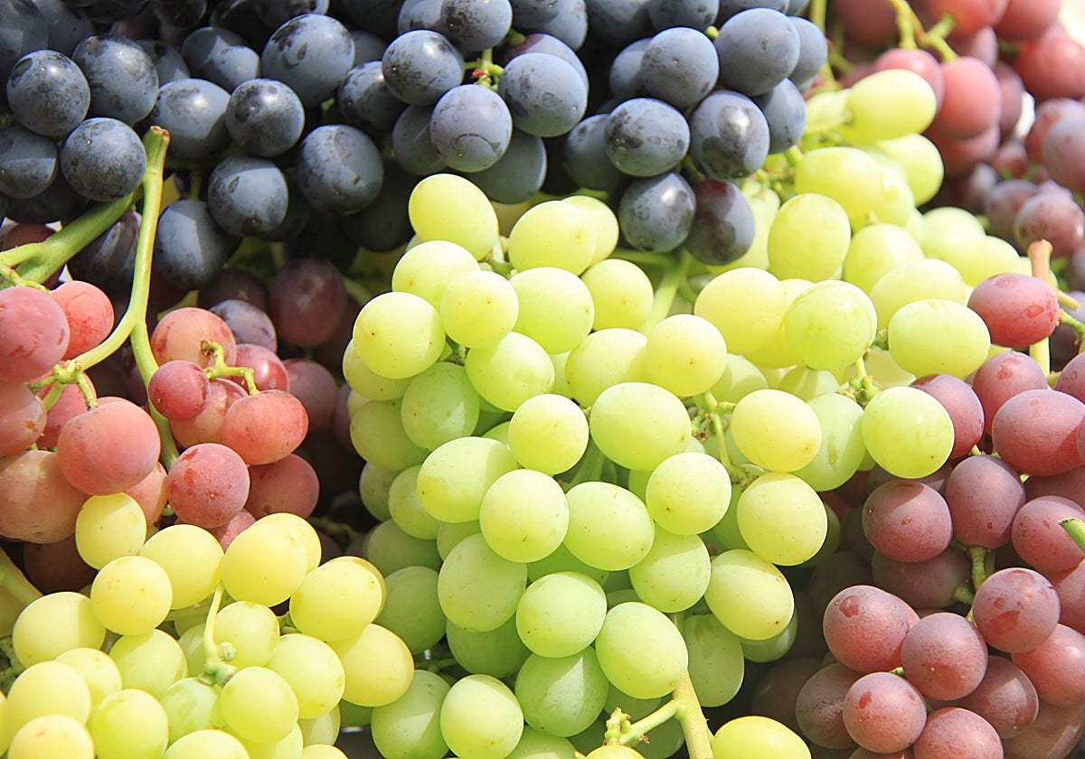 La fruta como aliada imprescindible: bienestar personal y compromiso con el planeta