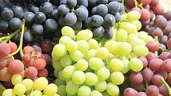 El poder de la fruta: salud, nutrición y sostenibilidad en cada bocado