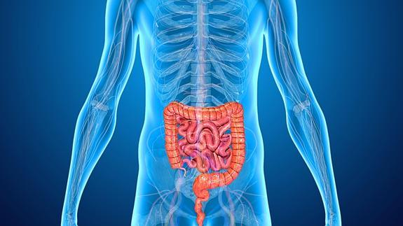 Episodios de diarrea y estreñimiento, ¿cuál es la causa?