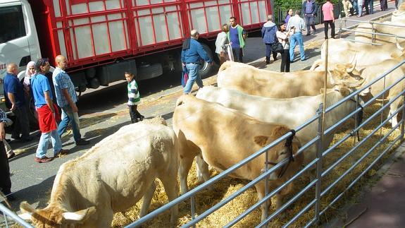 Rusia extiende su veto a los despojos y harinas animales procedentes de Europa