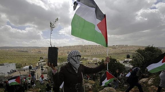 Manifestantes palestinos en Hebrón 