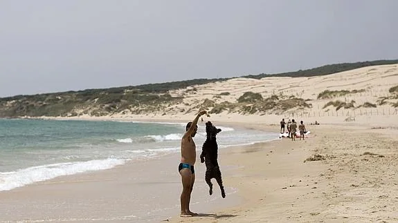 Un hombre juega con su perro en la playa de Valdevaqueros, en Tarifa (Cádiz).