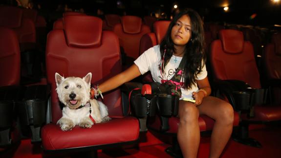 Las mascotas perrunas ya pueden disfrutar del cine.