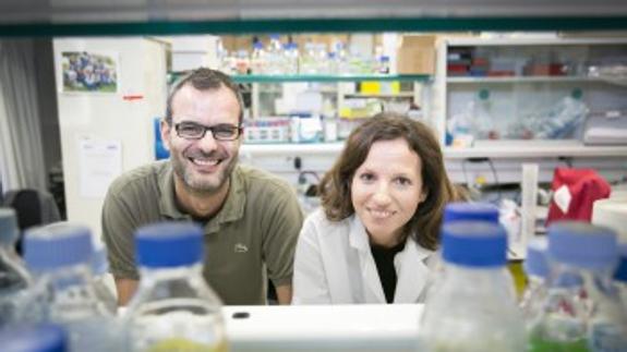 Salvador Aznar Benitah y Gloria Pascual, en el laboratorio de Células madre y cáncer del IRB Barcelona.