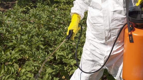 Unas 200.000 personas mueren cada año en mundo por envenenamiento con pesticidas.