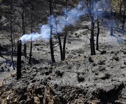 El fuego calcina 800 hectáreas "de alto valor ecológico"