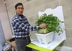 Luis José Lara, con una plantación de perejil . Foto: P. Sánchez/ AGM