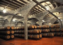 Instalaciones de Bodegas San Isidro en Jumilla. :: G. Carrión/AGM