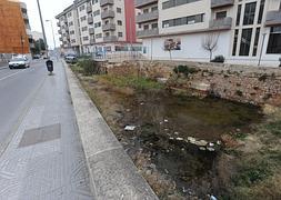 La antigua Fuente del Oro, que data de 1741 y está catalogada como bien protegido, presenta un gran abandono casi enterrada entre matorrales y agua estancada. :: Paco Alonso/AGM