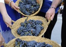 Las Fiestas de la Vendimia optarán al reconocimiento nacional