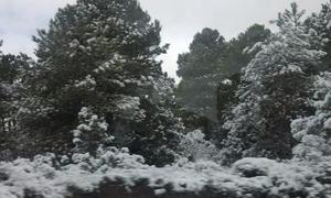 Nieve en el campo de Caravaca. | Foto: @TeTeThomas