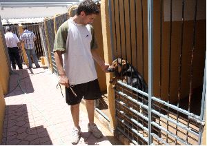MIMO. Un cuidador acaricia a un perro en una residencia canina de Santa Ana. / PABLO SÁNCHEZ / AGM