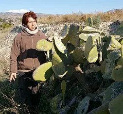 Una activista de Ecologistas en Acción contempla una palera afectada por la cochinilla grana. /ECOLOGISTAS EN ACCIÓN