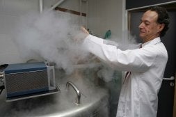 José María Moraleda, coordinador de la Unidad de Terapia Celular, muesta uno de los tanques en que se                        guardan, protegidas por nitrógeno líquido, células madre. / JUAN LEAL