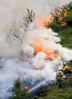 Bomberos del Gobierno de Navarra y del Ministerio de Medio Ambiente trabajan en la extinción de un incendio declarado en la localidad navarra de Larráyoz. /EFE