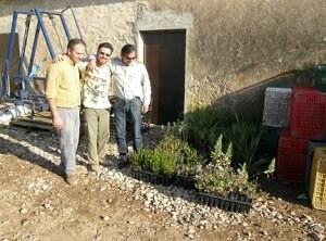 Tres agricultores, con plantas autóctonas para sus fincas ecológicas. / ANSE