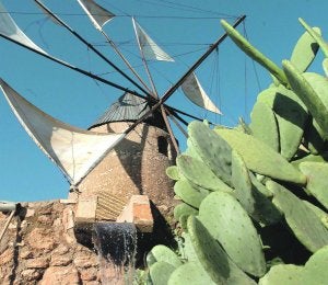 Molino de Pepe Luengo, en El Algar, con sus velas al viento. ::                             ANTONIO GIL /                             AGM