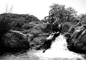'Pasico de Ucenda' gana el concurso FotoRally en Bullas