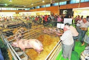 Sepor abre sus puertas con el reto de afrontar la crisis en la alimentación animal
