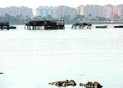 Paraje por el que está previsto que discurra la pasarela, en la zona de las encañizadas del norte de La Manga. ::                             GUILLERMO CARRIÓN / AGM