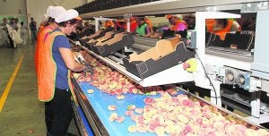 Las cooperativas estiran la campaña con frutas y verduras de otras regiones