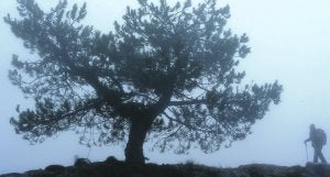 El pico de Los Obispos, en el macizo de
Revolcadores, el más alto de la Región
a 2.014 metros.