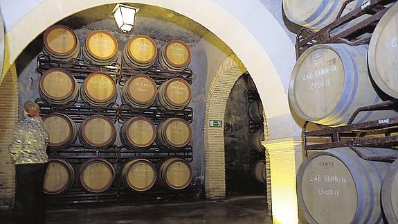 Interior de Bodegas Luzón, cuyo recorrido será el jueves.