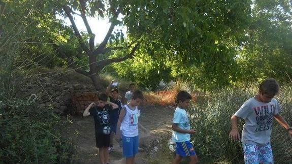 Campamento de verano en Nerpio (Albacete). 