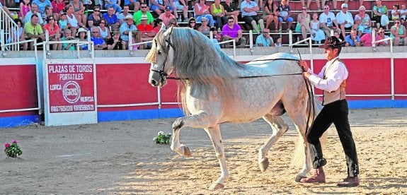 Un joven da una demostración de doma de caballo. 